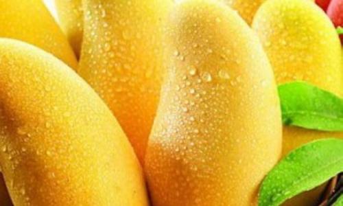 泰國芒果進(jìn)口清關(guān)報(bào)關(guān)代理流程以及需要的單證資料 泰國芒果進(jìn)口清關(guān)報(bào)關(guān)代理流程以及需要的單證資料