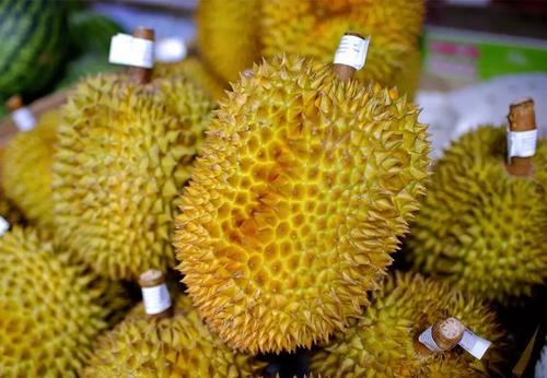 泰國榴蓮進口報關(guān)清關(guān)代理公司有哪些?榴蓮進口報關(guān)注意事項 泰國榴蓮進口報關(guān)清關(guān)代理公司有哪些?榴蓮進口報關(guān)注意事項