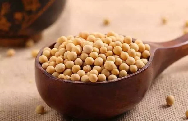 青島港大豆清關(guān)找17年經(jīng)驗的廣東速達公司 青島港大豆清關(guān)找17年經(jīng)驗的廣東速達公司