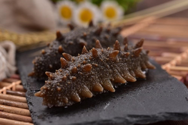 海參報關(guān)行有哪些推薦 海參報關(guān)行有哪些推薦