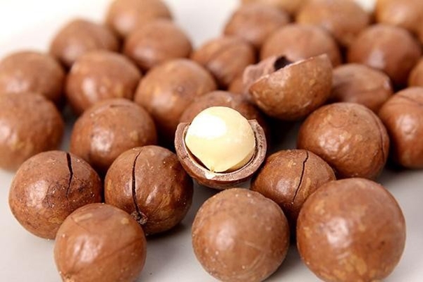 上海堅(jiān)果進(jìn)口報(bào)關(guān)代理一般貿(mào)易進(jìn)口 上海堅(jiān)果進(jìn)口報(bào)關(guān)代理一般貿(mào)易進(jìn)口