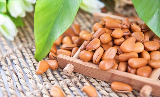 進口阿富汗松子清關(guān)代理公司告訴你進口松子的要求 進口阿富汗松子清關(guān)代理公司告訴你進口松子的要求