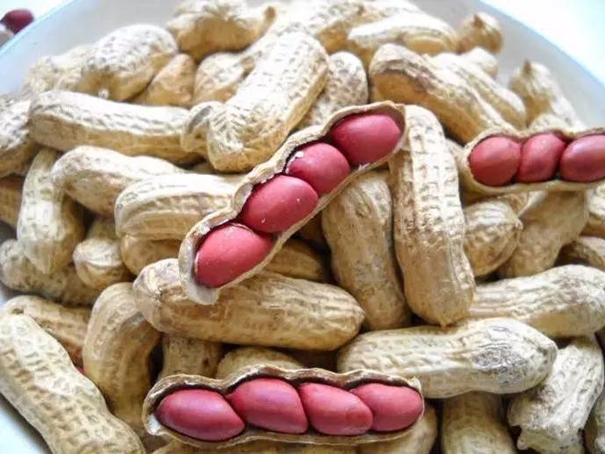 花生進(jìn)口清關(guān)代理需要的資質(zhì)以及資料 花生進(jìn)口清關(guān)代理需要的資質(zhì)以及資料