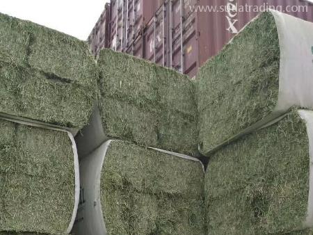 苜蓿草東莞進口清關(guān)手續(xù)文件有這些！