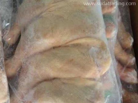 禽類(lèi)產(chǎn)品東莞進(jìn)口代理清關(guān)資料與注意事項(xiàng)