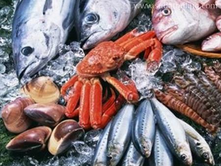 廣州白云區(qū)報關行告訴你進口水產(chǎn)品清關三要素