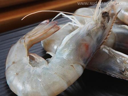 白蝦深圳機(jī)場進(jìn)口代理清關(guān)需要關(guān)注的幾點問題！