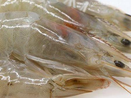 白蝦進口廣州機場清關監(jiān)管與檢疫條件