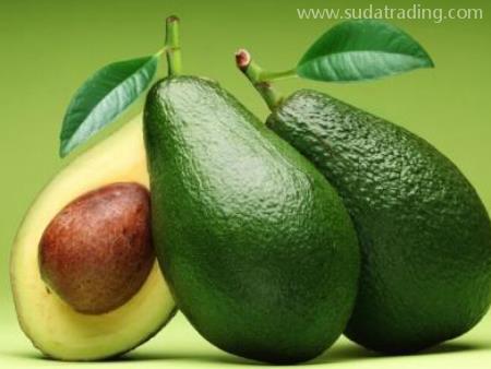 鱷梨進口機場代理報關(guān)操作指南！