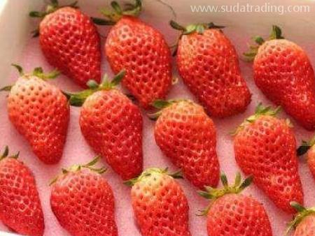 水果進(jìn)口深圳專業(yè)報(bào)關(guān)公司廣東速達(dá)供應(yīng)鏈！