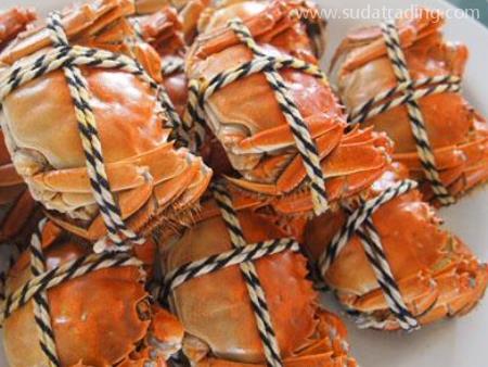 螃蟹進口機場海關(guān)報關(guān)需要什么資料？