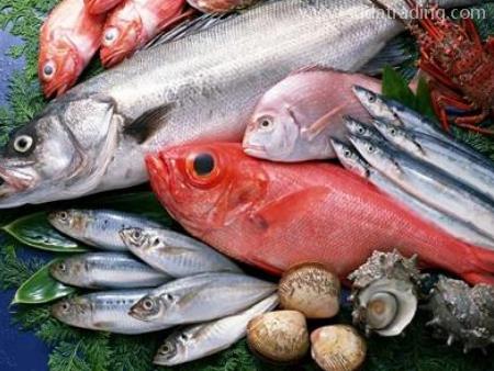 水產(chǎn)品東莞進(jìn)口代理清關(guān)政策要點(diǎn)整理！