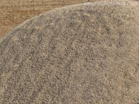 東莞沙田港報(bào)關(guān)公司帶你了解河沙進(jìn)口清關(guān)檢測(cè)