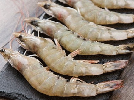 南美白蝦進(jìn)口空運(yùn)報(bào)關(guān)要記住這個(gè)流程！