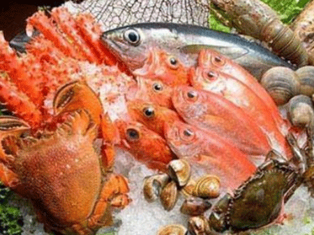 代理海鮮進(jìn)口機(jī)場清關(guān)時間