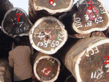 木材進(jìn)口清關(guān)注意事項有這幾點，要留心！