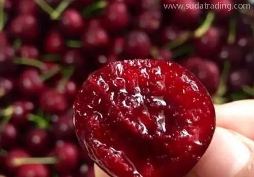 干貨！進(jìn)口車?yán)遄訄?bào)關(guān)這些要點(diǎn)你一定要了解