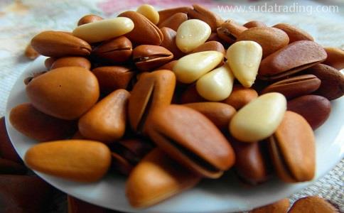 國外松子進口報關(guān)清關(guān)[全套代理服務]