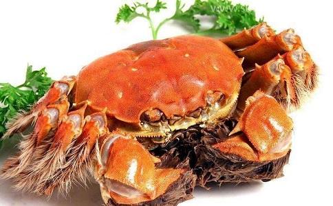 一站式代理螃蟹進(jìn)口報(bào)關(guān)清關(guān),快速通關(guān) 一站式代理螃蟹進(jìn)口報(bào)關(guān)清關(guān),快速通關(guān)