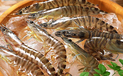 代理海鮮進(jìn)口清關(guān)流程|找專(zhuān)業(yè)報(bào)關(guān)公司