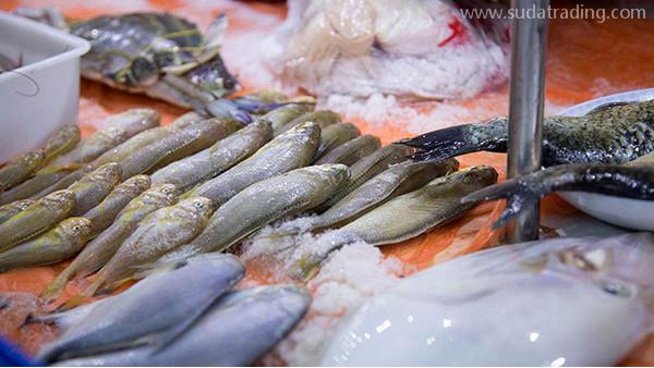 來看看如何輕松水產(chǎn)品進口清關(guān)！