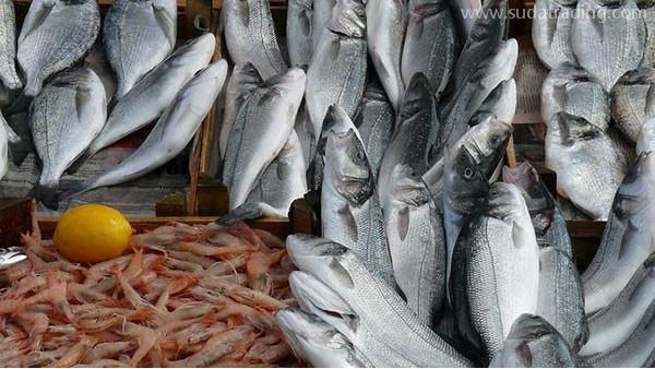 水產(chǎn)品進(jìn)口報(bào)關(guān)需要辦理哪些手續(xù)？