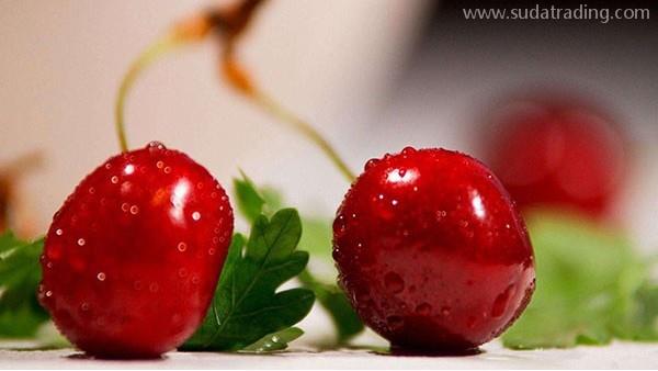 進(jìn)口車?yán)遄釉跈z疫方面如何把關(guān)？