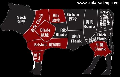 進(jìn)口牛肉怎樣規(guī)范申報(bào)？