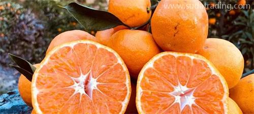 部分動(dòng)植物產(chǎn)品規(guī)范申報(bào)要素調(diào)整詳解 部分動(dòng)植物產(chǎn)品規(guī)范申報(bào)要素調(diào)整詳解