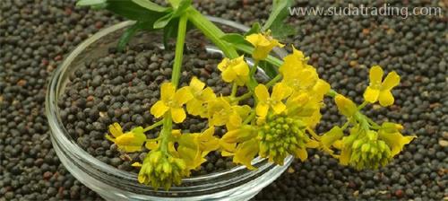 部分動(dòng)植物產(chǎn)品規(guī)范申報(bào)要素調(diào)整詳解 部分動(dòng)植物產(chǎn)品規(guī)范申報(bào)要素調(diào)整詳解