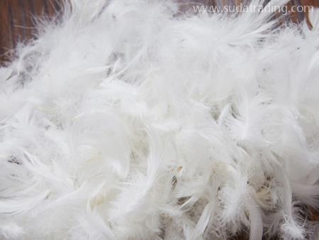 鵝毛廣州進口清關(guān)需要什么資料？流程是怎樣的？