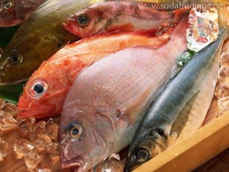 水產(chǎn)品白云機(jī)場進(jìn)口報(bào)關(guān)代理服務(wù)流程！