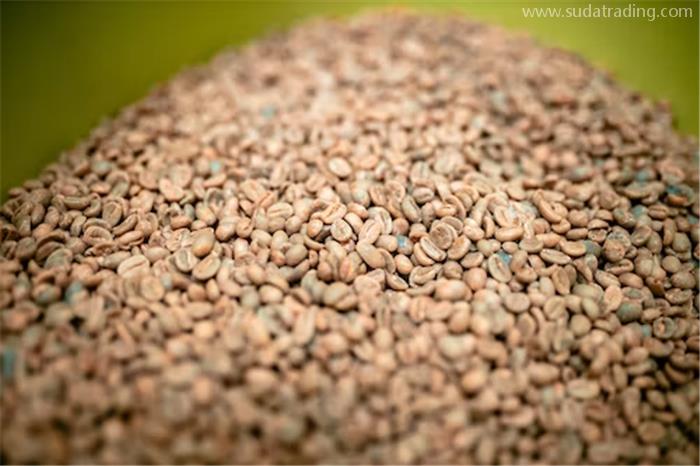 咖啡生豆進(jìn)口關(guān)稅進(jìn)口咖啡生豆報(bào)關(guān)稅率 咖啡生豆進(jìn)口關(guān)稅進(jìn)口咖啡生豆報(bào)關(guān)稅率