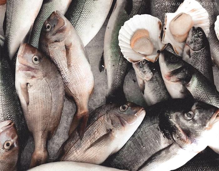 大連進(jìn)口海鮮清關(guān)代理之前，務(wù)必要確定好這幾點