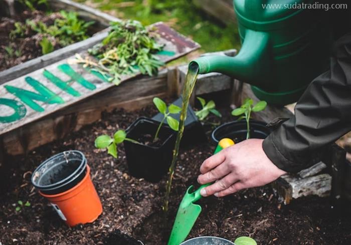 植物培養(yǎng)液進(jìn)口報(bào)關(guān)報(bào)檢流程手續(xù)以及資料 植物培養(yǎng)液進(jìn)口報(bào)關(guān)報(bào)檢流程手續(xù)以及資料
