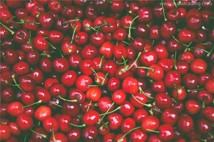 智利車?yán)遄舆M(jìn)口報(bào)關(guān)如何操作?2023年如何進(jìn)口車?yán)遄? alt=