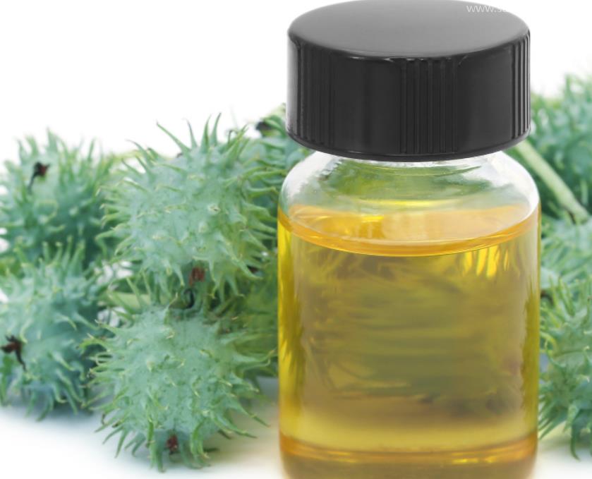 進(jìn)口摩洛哥阿甘油報(bào)關(guān)的流程和所需資料 進(jìn)口摩洛哥阿甘油報(bào)關(guān)的流程和所需資料