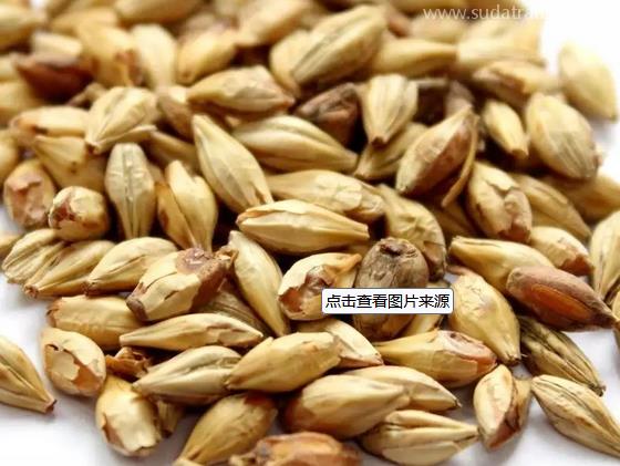 肉豆蔻進(jìn)口報(bào)關(guān)要求 肉豆蔻進(jìn)口報(bào)關(guān)要求