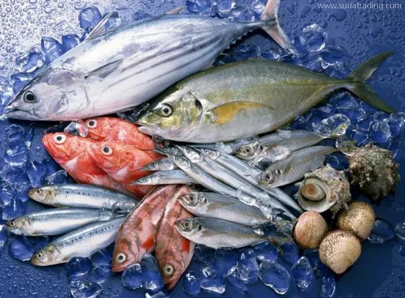 水產(chǎn)品進(jìn)口注意事項(xiàng) 水產(chǎn)品進(jìn)口注意事項(xiàng)