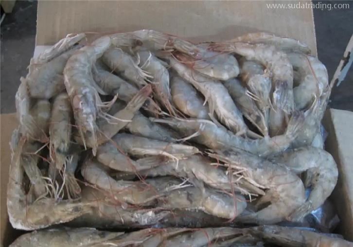 南美冷凍蝦進(jìn)口清關(guān)初次操作?來看看這些內(nèi)容 南美冷凍蝦進(jìn)口清關(guān)初次操作?來看看這些內(nèi)容