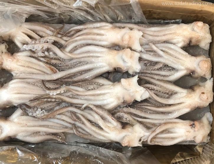 冷凍魷魚進(jìn)口報關(guān)的注意事項以及流程手續(xù) 冷凍魷魚進(jìn)口報關(guān)的注意事項以及流程手續(xù)