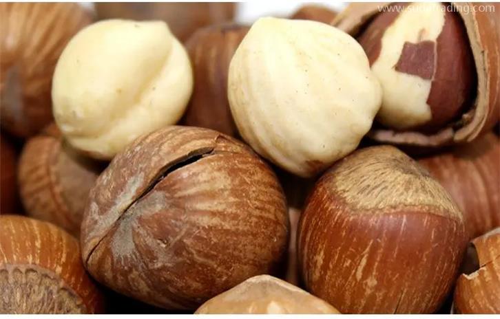 帶殼堅(jiān)果進(jìn)口清關(guān)需要的資質(zhì)以及資料 帶殼堅(jiān)果進(jìn)口清關(guān)需要的資質(zhì)以及資料