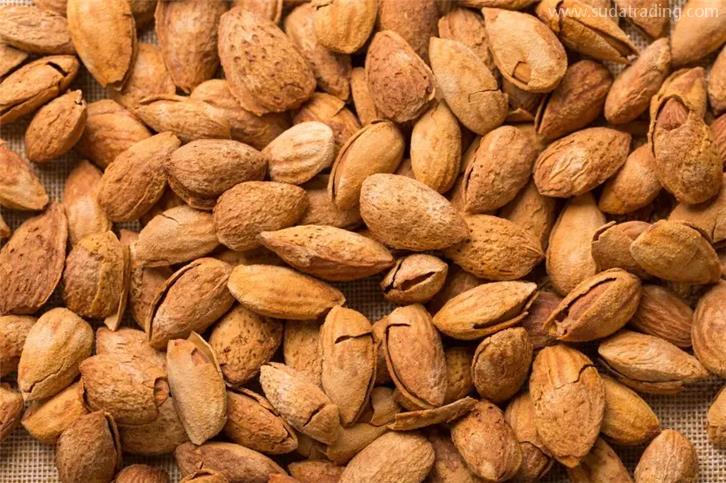 帶殼堅(jiān)果進(jìn)口清關(guān)需要的資質(zhì)以及資料 帶殼堅(jiān)果進(jìn)口清關(guān)需要的資質(zhì)以及資料