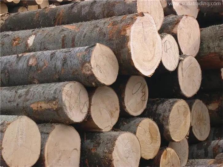 連云港進口木材報關(guān)一般貿(mào)易流程 連云港進口木材報關(guān)一般貿(mào)易流程