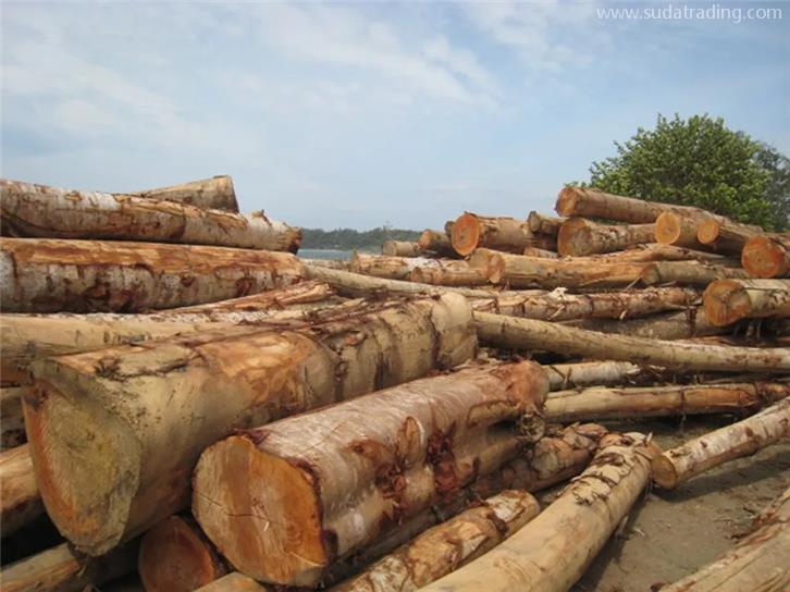 連云港進口木材報關(guān)一般貿(mào)易流程 連云港進口木材報關(guān)一般貿(mào)易流程