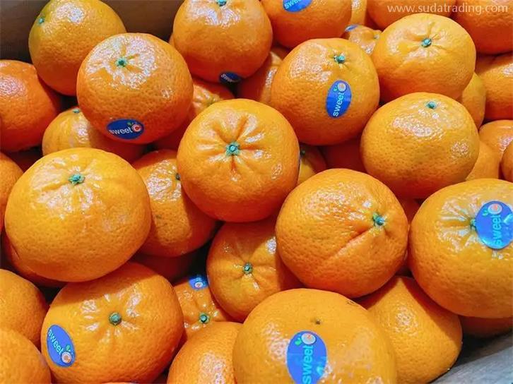 武漢二手車出口報(bào)關(guān)公司