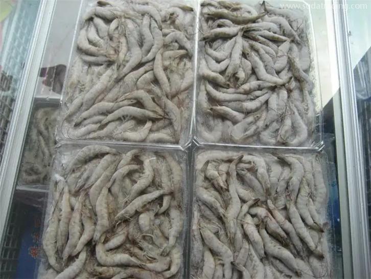 天津冷凍產(chǎn)品進(jìn)口報關(guān)公司 天津冷凍產(chǎn)品進(jìn)口報關(guān)公司