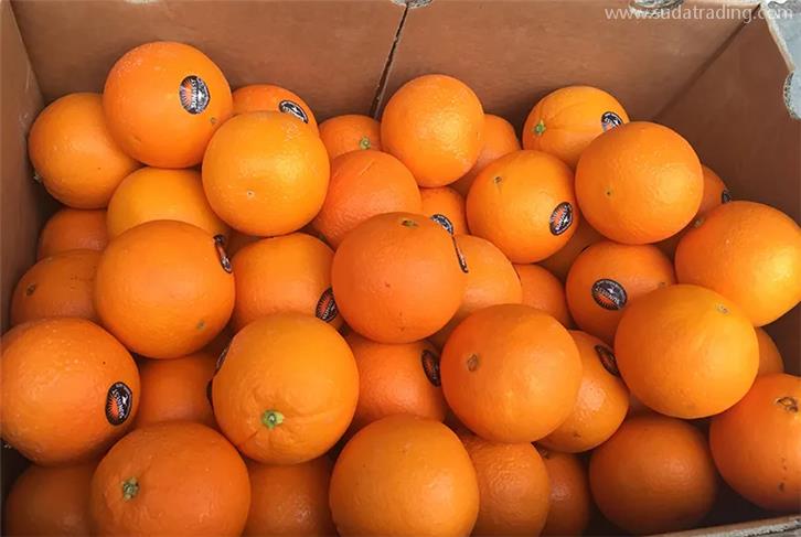 上海黃浦報(bào)關(guān)行推薦哪家比較好? 上海黃浦報(bào)關(guān)行推薦哪家比較好?