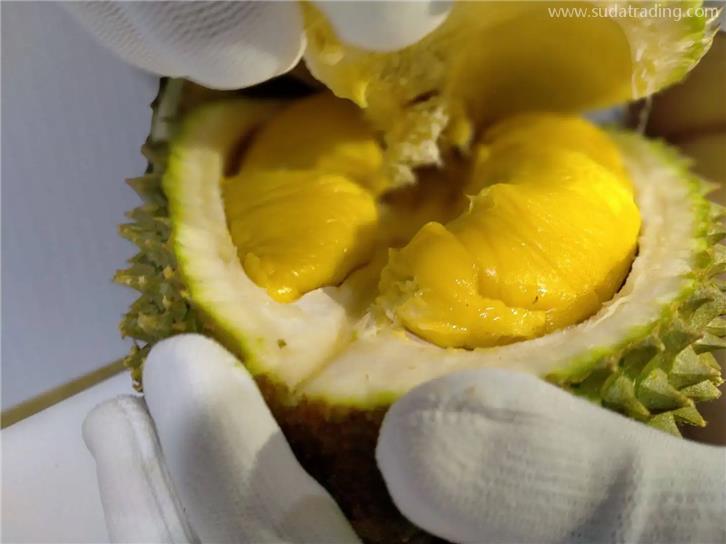 進口馬來西亞貓山王榴蓮清關的這些事兒 進口馬來西亞貓山王榴蓮清關的這些事兒