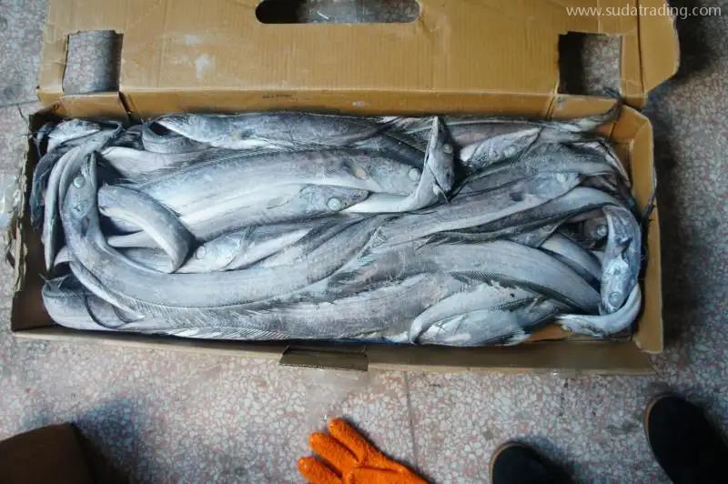 青島凍品進口清關公司哪家好 青島凍品進口清關公司哪家好